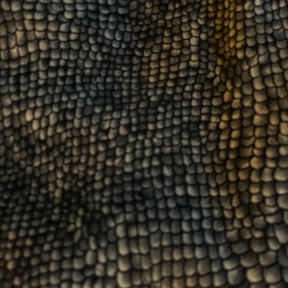 Snakeskin Print Maxi Dress. Size 6 Petite - Picture 8 of 8